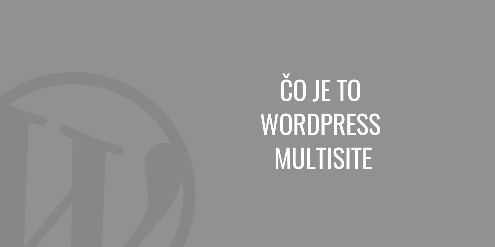 Co je to WordPress multisite