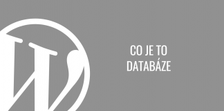 Co je to databáze? K čemu slouží? Jak se k ní připojit? Co je to databáze