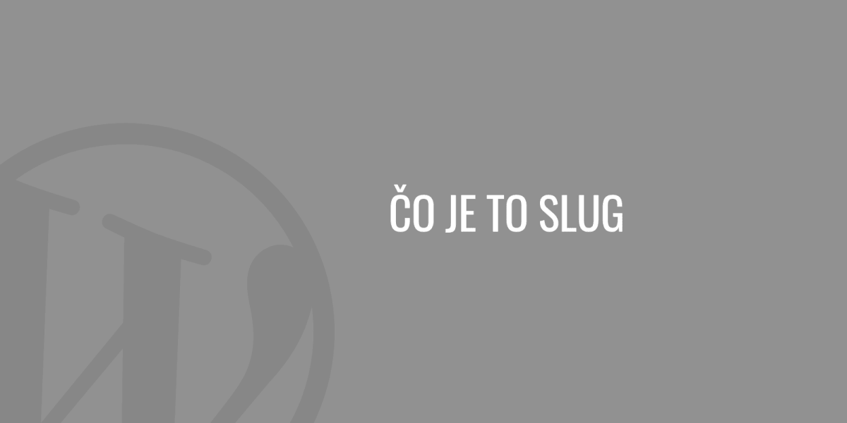 Co je to slug