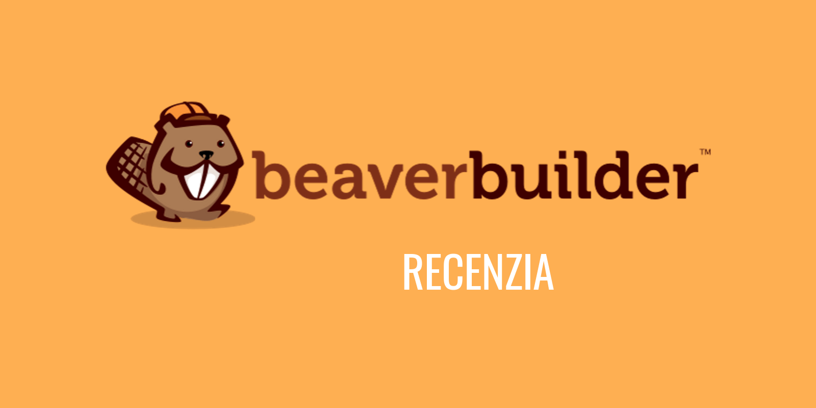 Beaver Builder recenze