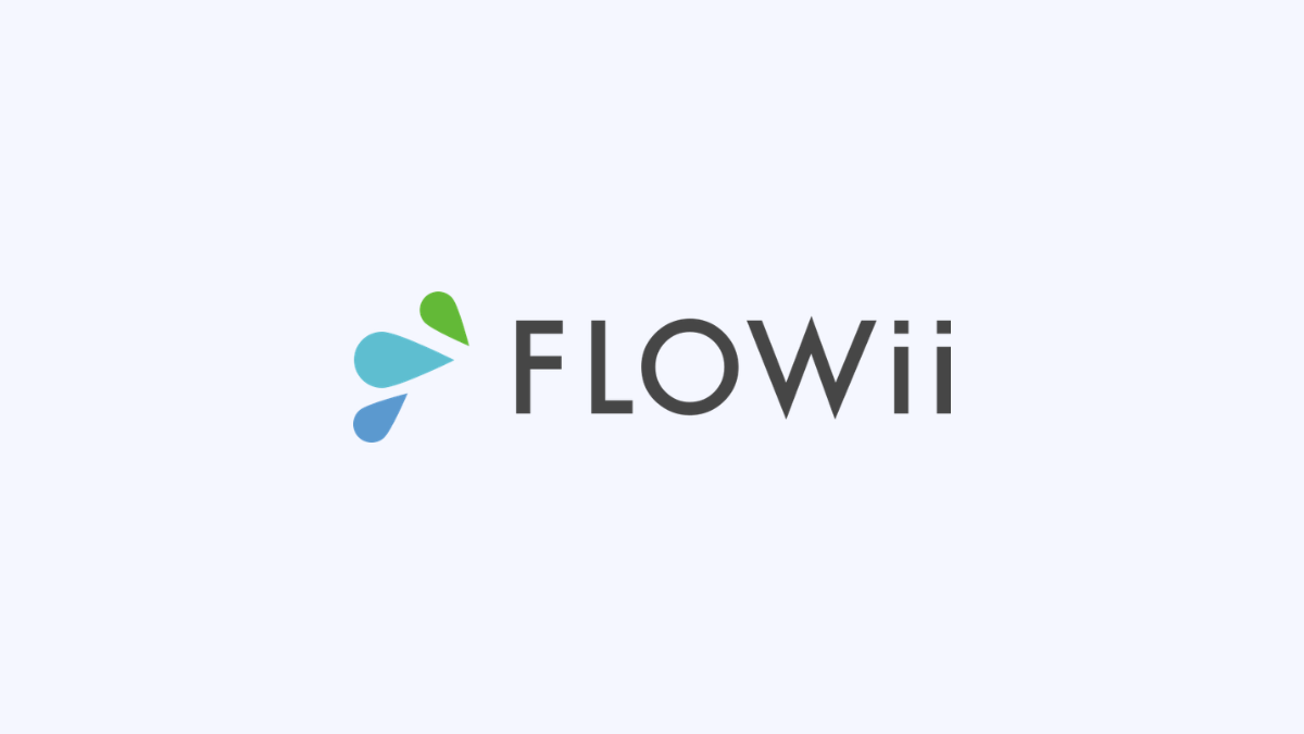 FLOWii recenze: Vyplatí se tento systém pro řízení firmy?